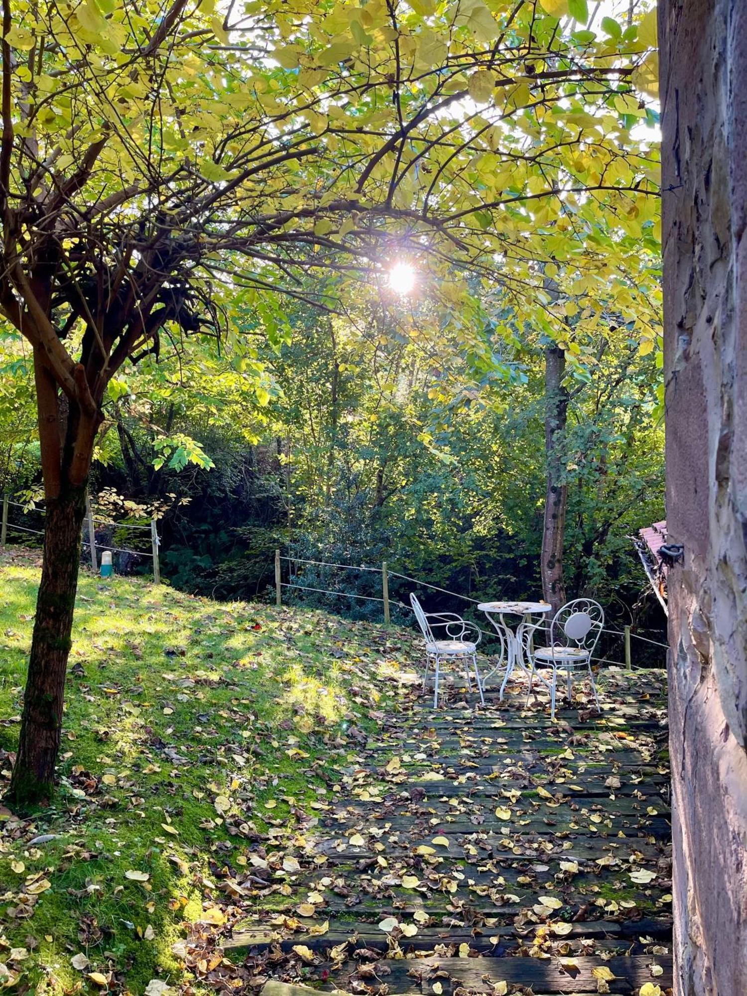 El Molino De Leyte - Charming Riverside Cottage In Carmona, Cantabria Carmona  Eksteriør billede