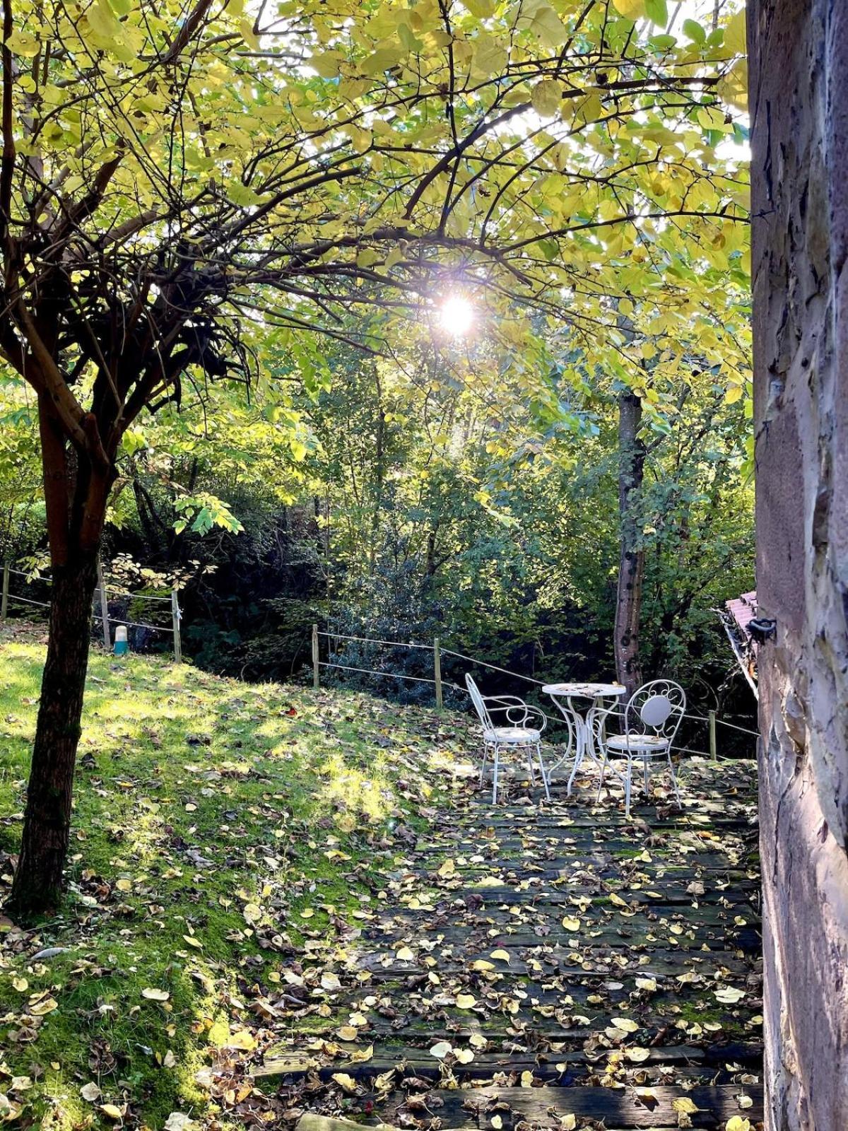 El Molino De Leyte - Charming Riverside Cottage In Carmona, Cantabria Carmona  Eksteriør billede