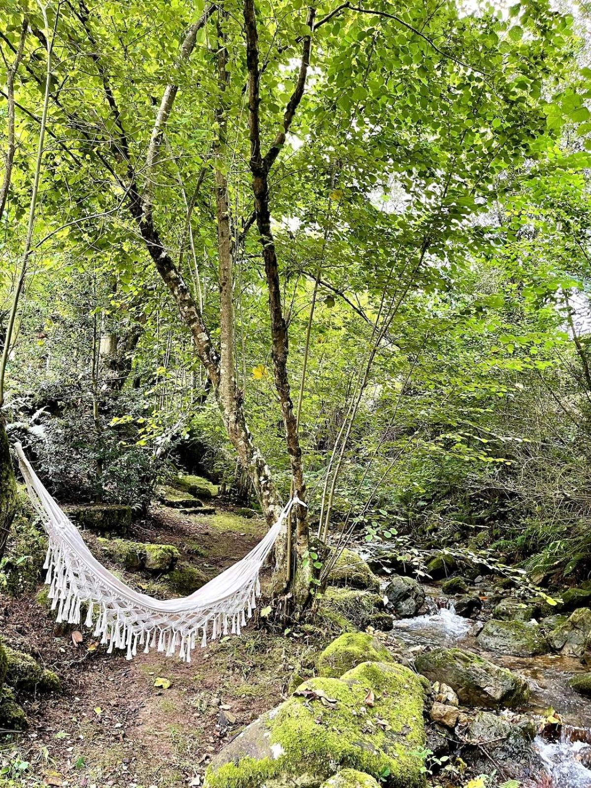 El Molino De Leyte - Charming Riverside Cottage In Carmona, Cantabria Carmona  Eksteriør billede